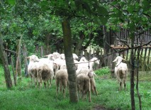 izlet u Kutinsku Slatinu 02